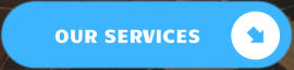 OUR SERVICES