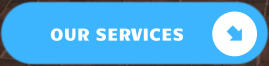 OUR SERVICES